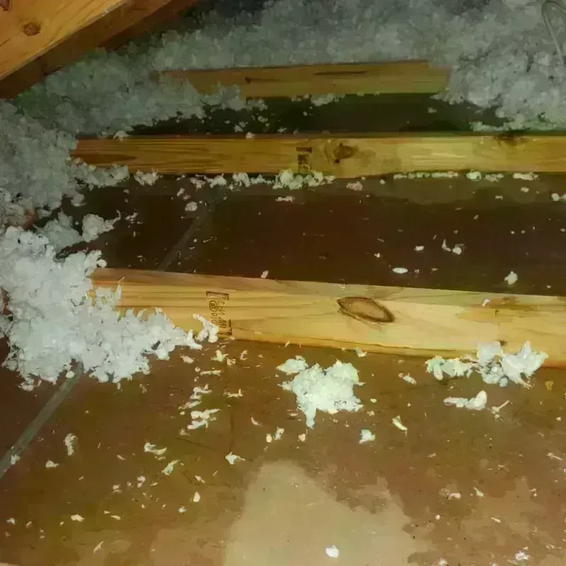 Attic Water Damage in Bartlesville, OK