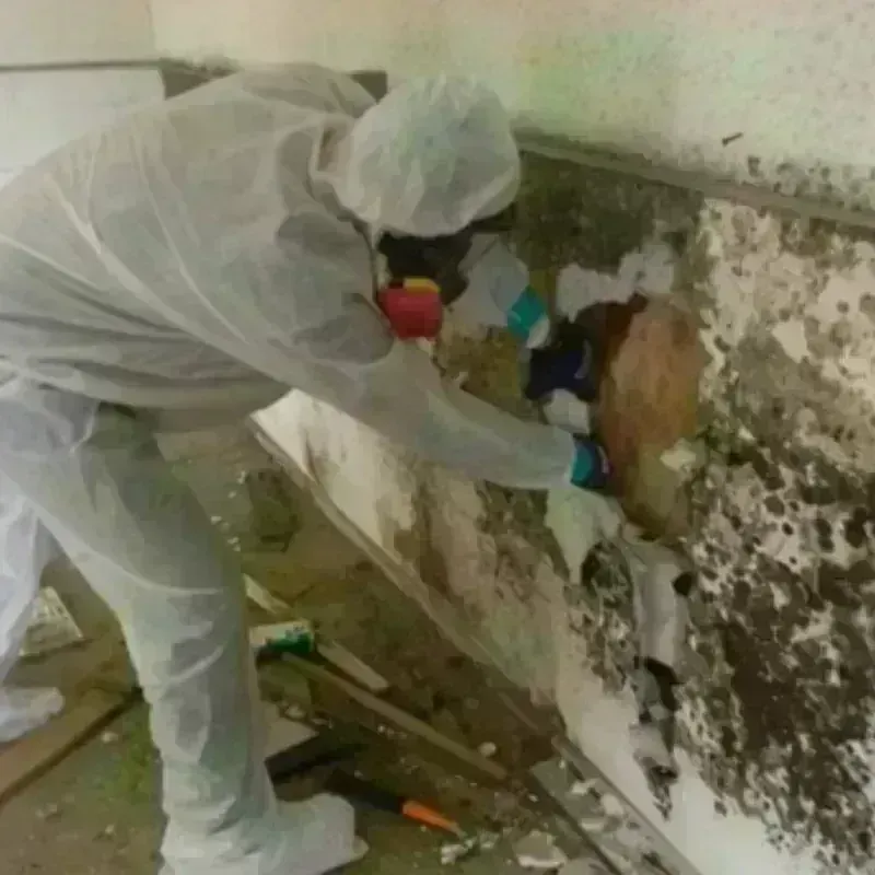 Mold Remediation and Removal in Bartlesville, OK