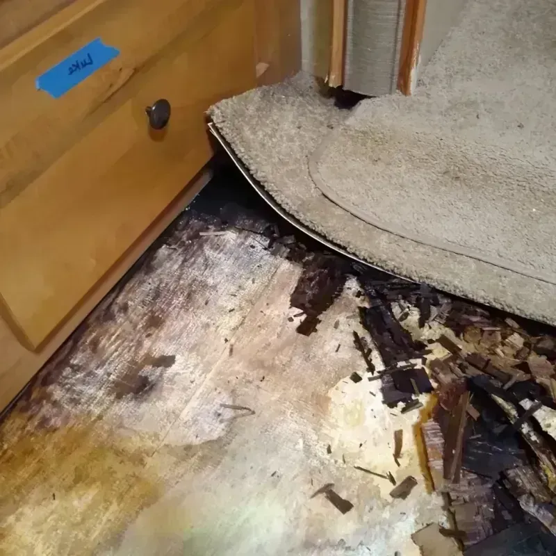 Wood Floor Water Damage in Bartlesville, OK